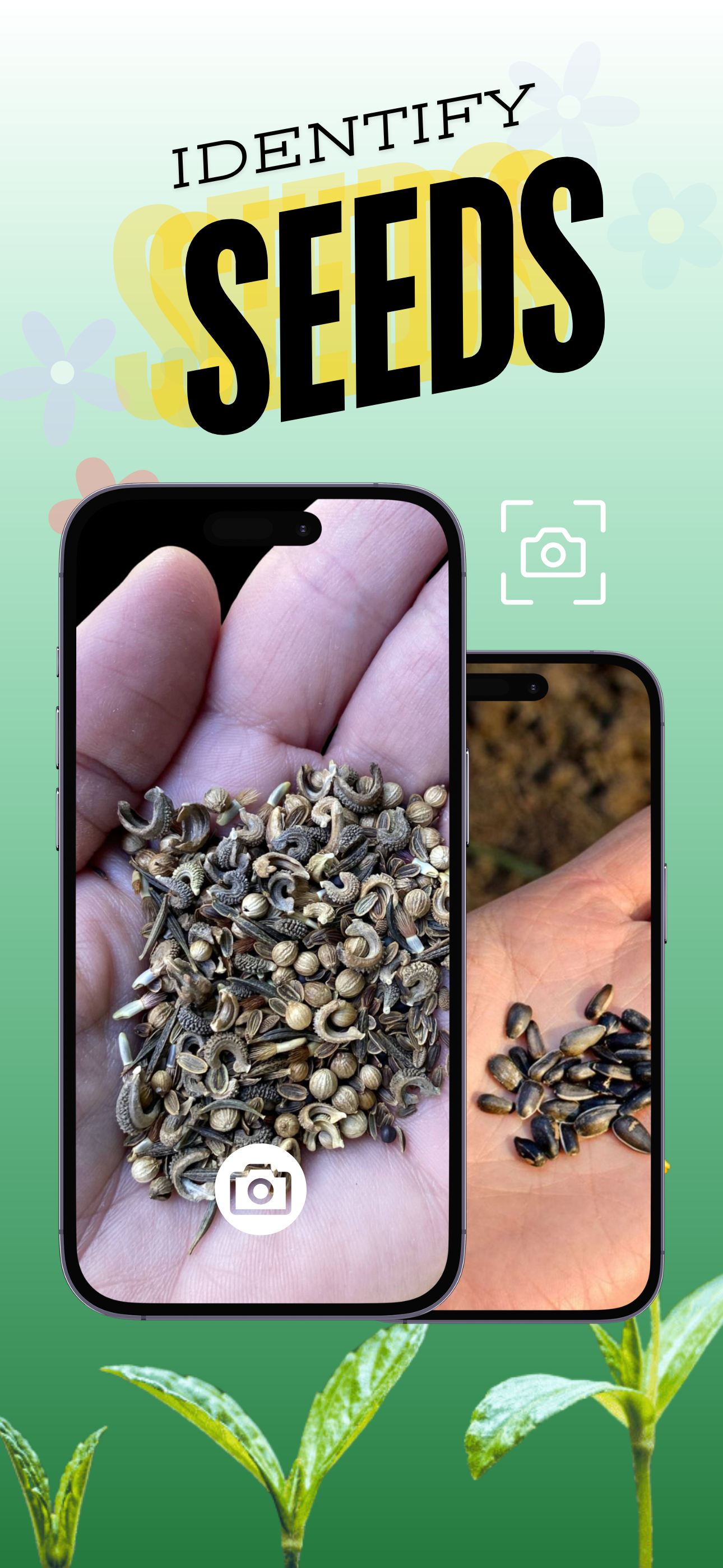 Taking a photo of a seed